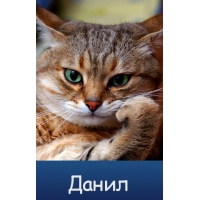 Красивые ники для Одноклассников для девушек и парней 52 Красивые ники для Одноклассников для девушек и парней 14